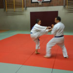 Goshin Jitsu 2